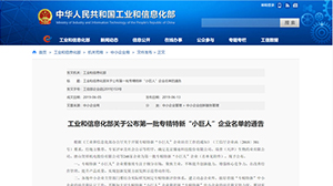星空平台-星空（中国）公司入选全国第一批专精特新“小巨人”企业